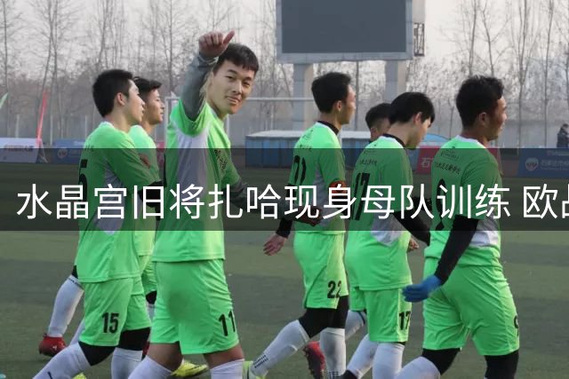 水晶宫旧将扎哈现身母队训练 欧战经验或成关键筹码
