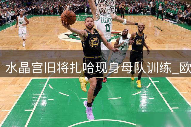 水晶宫旧将扎哈现身母队训练 欧战经验或成关键筹码